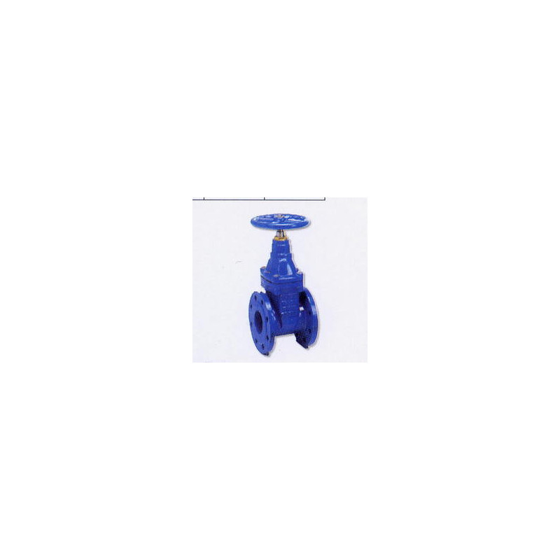 SARACINESCA CORPO PIATTO GHISA DN 50